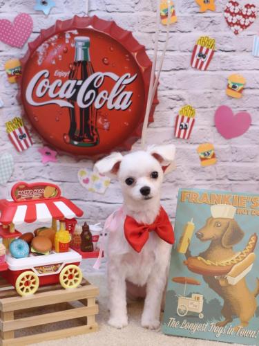 20230906メルちゃん